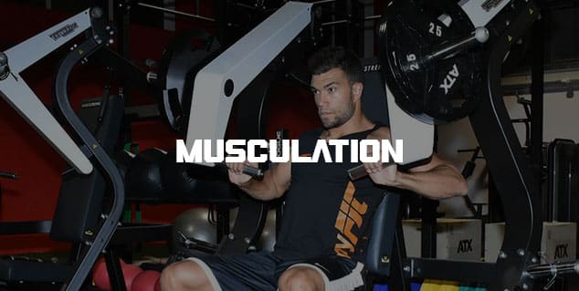 Activité - Musculation